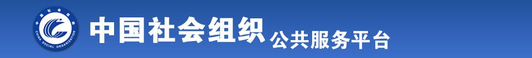 插骚货免费视频全国社会组织信息查询